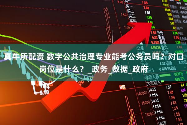 真牛所配资 数字公共治理专业能考公务员吗？对口岗位是什么？_政务_数据_政府