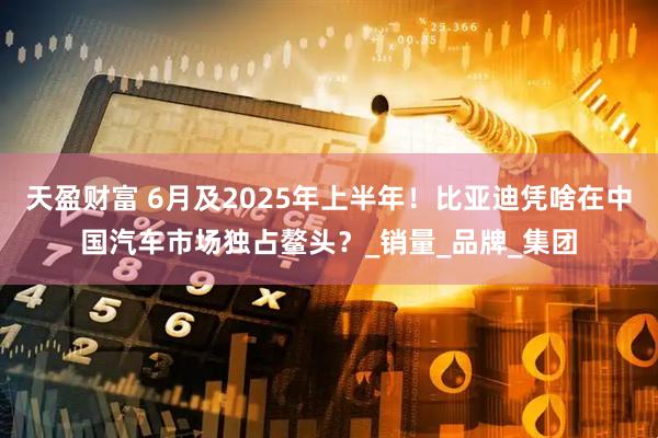 天盈财富 6月及2025年上半年！比亚迪凭啥在中国汽车市场独占鳌头？_销量_品牌_集团