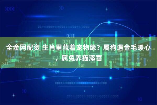全金网配资 生肖里藏着宠物缘？属狗遇金毛暖心，属兔养猫添喜