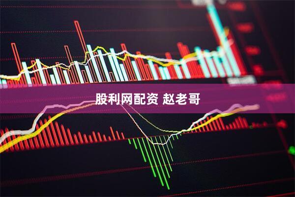 股利网配资 赵老哥