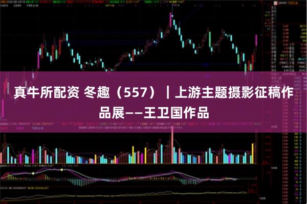 真牛所配资 冬趣（557）｜上游主题摄影征稿作品展——王卫国作品